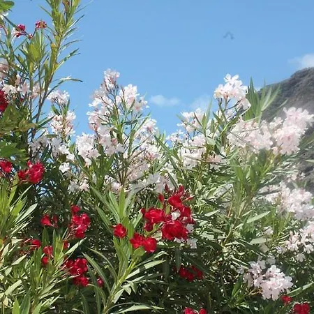 Seaview Apartamento *